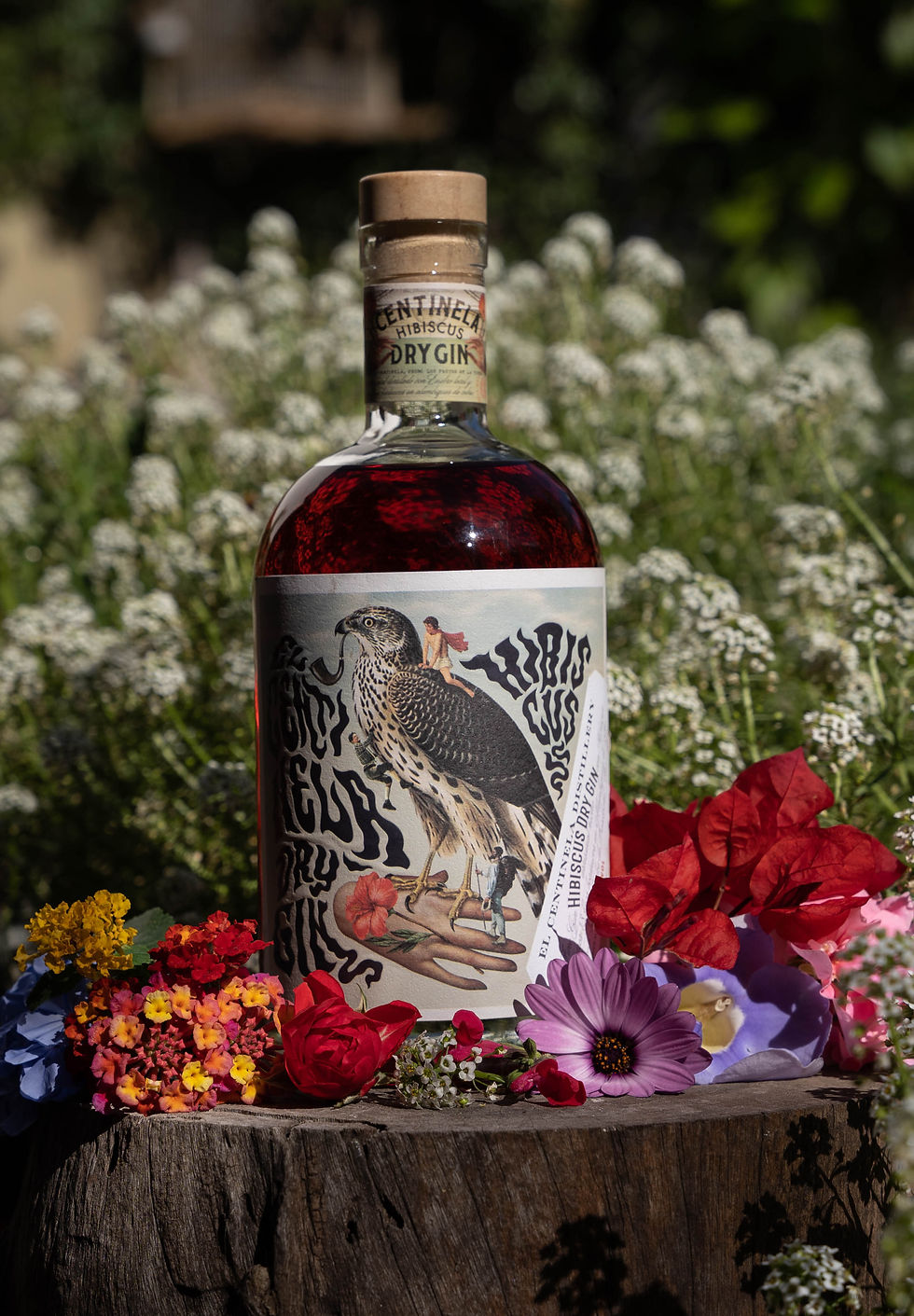 Miniatura: El Centinela Distillery