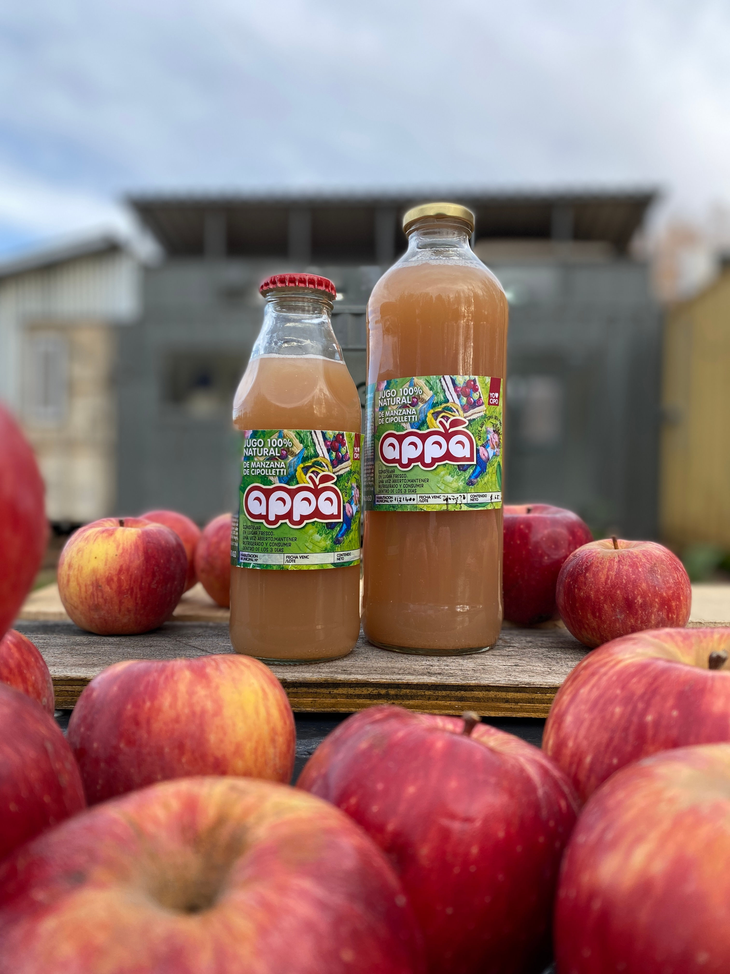 APPA – Jugo de Manzana