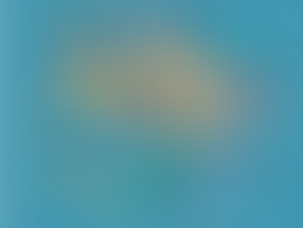 Why Your Business Needs a Professional WordPress Development Company