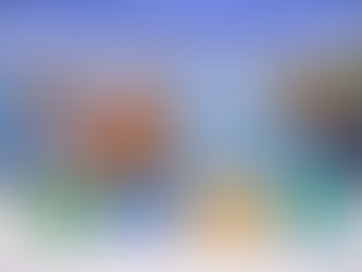 Miami SEO Services That Turn Visibility Into Real Business Growth