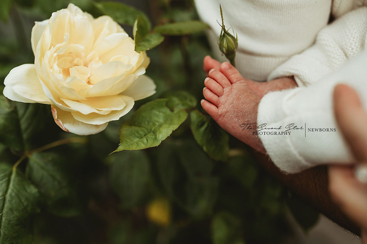 Oxfordshire newborn photographer