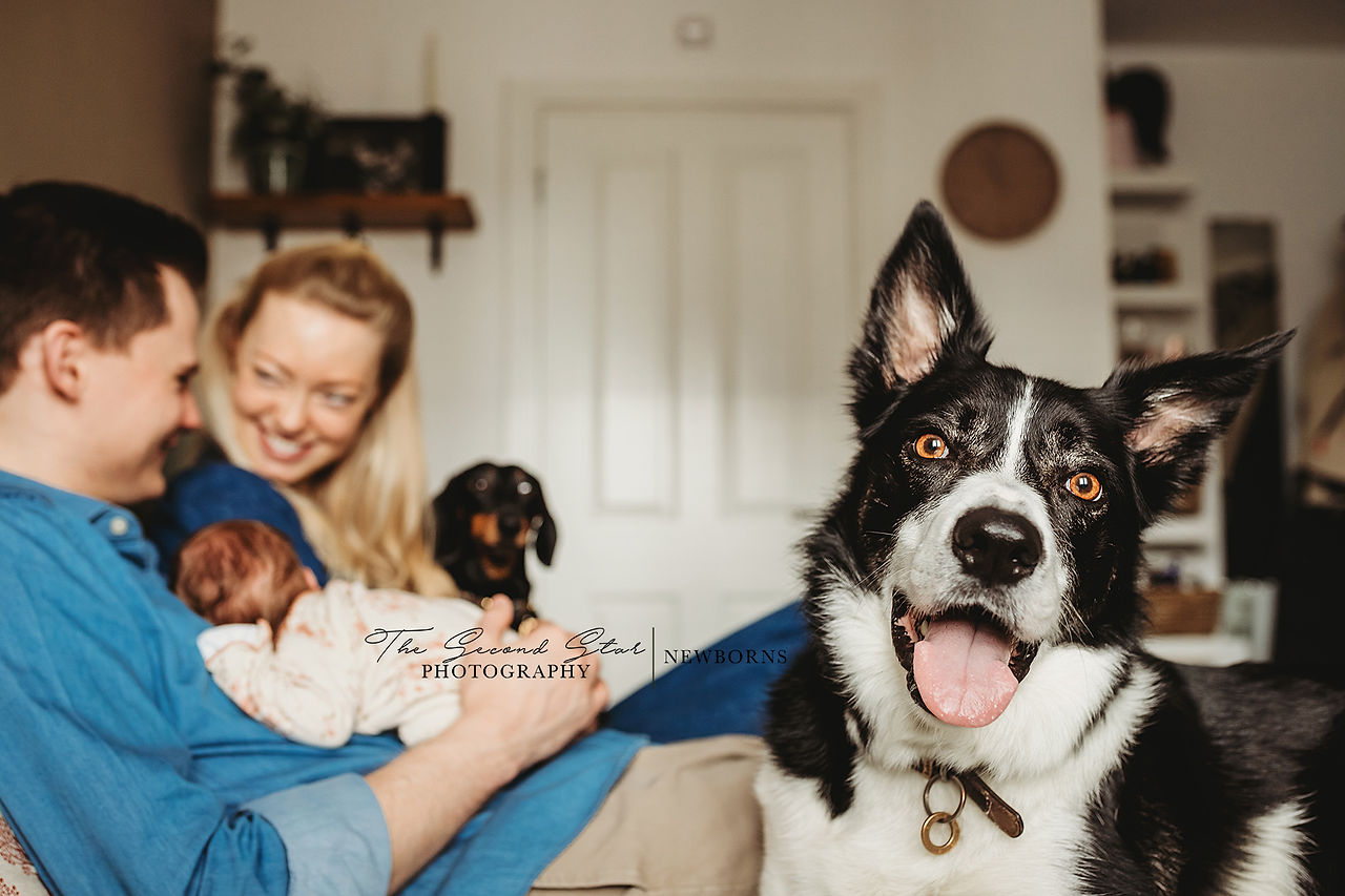 Oxfordshire newborn photographer