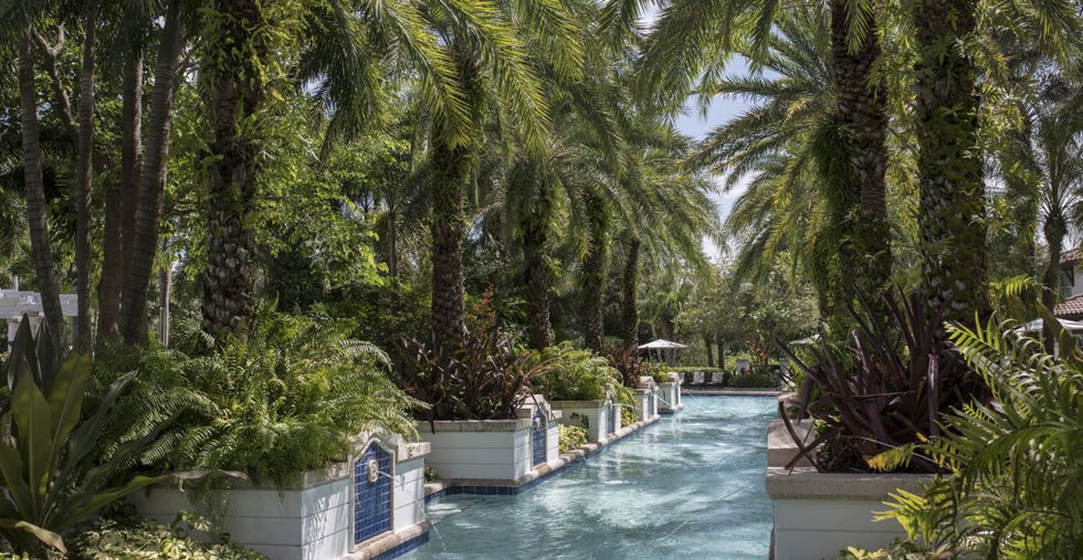 Lush tropical pool, palm trees, serene.  Marriott's Lakeshore Reserve Hotel, Orlando, Florida.
