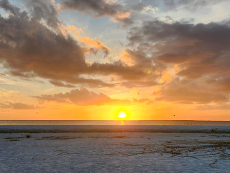 Will My Guests Be Comfortable? 5 Secrets to a Stress-Free Florida Beach Wedding