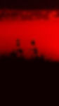 FMB_PIRATE_SHIP_SUNSET_WEDDING_PS&D grain_edited_edited.jpg
