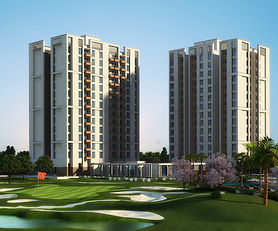 Silver Glades Melia