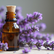 Harnessing Nature's Power for Holistic Wellness