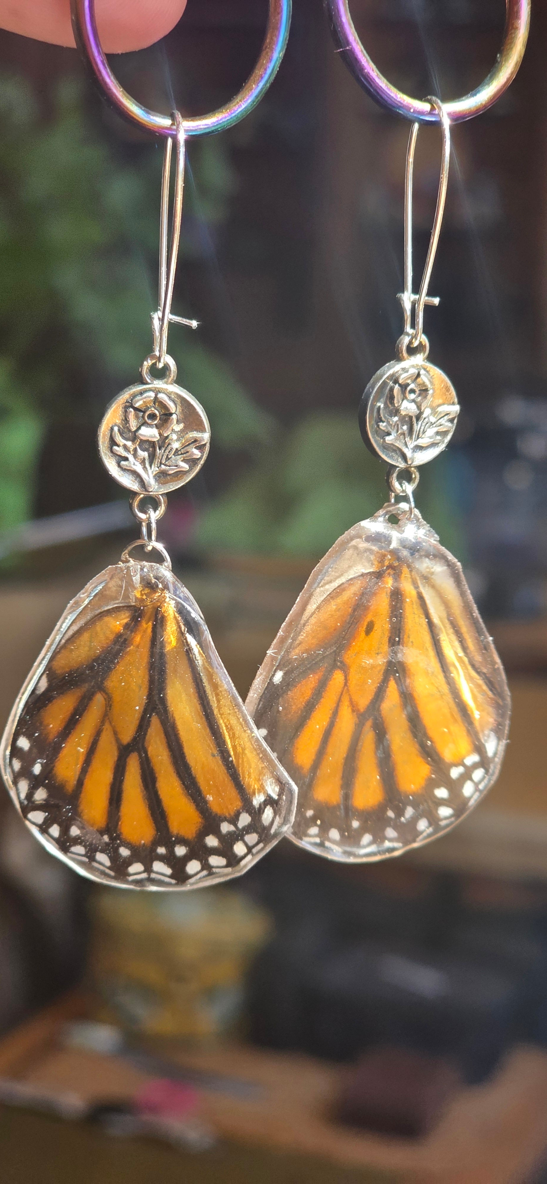 Naturally Found Monarch Butterfly Wing Earrings