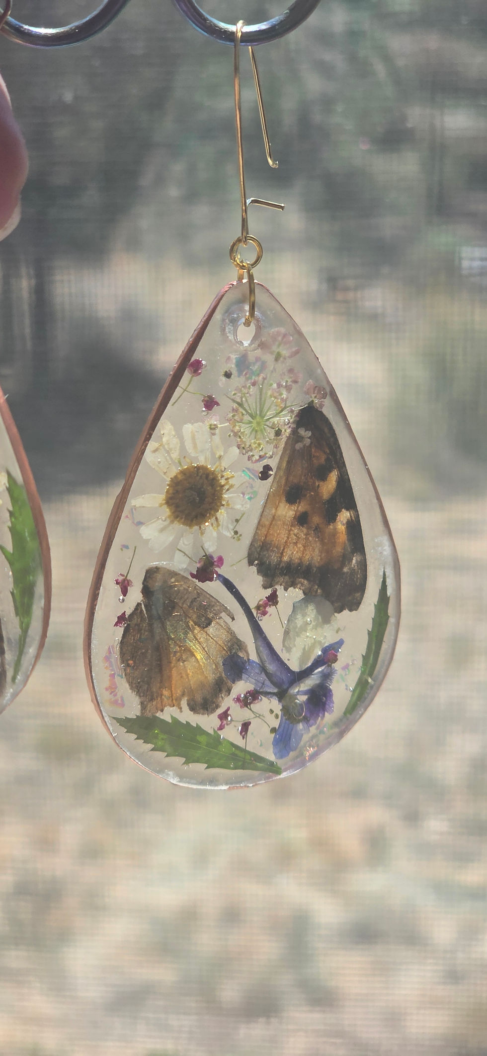 Thumbnail: Butterfly wing in a mini garden