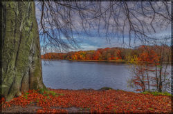 trees-landscape-forest-fall-Photoshop-lake-510167-wallhere.com