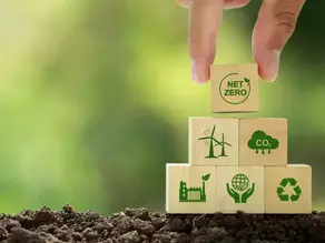 Carbon Credit x Insolvency: Connecting the Future with the Present