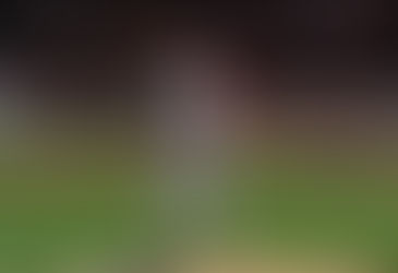 Quick Hit: Yanks Fall To Monty And The Cards, 5-1