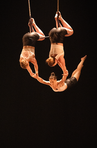 Tapèze trio-Cirque-épreuve synthèse.png
