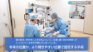 札幌形成外科 (1).png