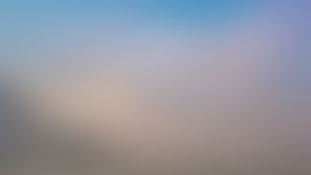 4 Housing Market Trends in 2020 | Hampton Roads [Mid-Year Review and Projections]