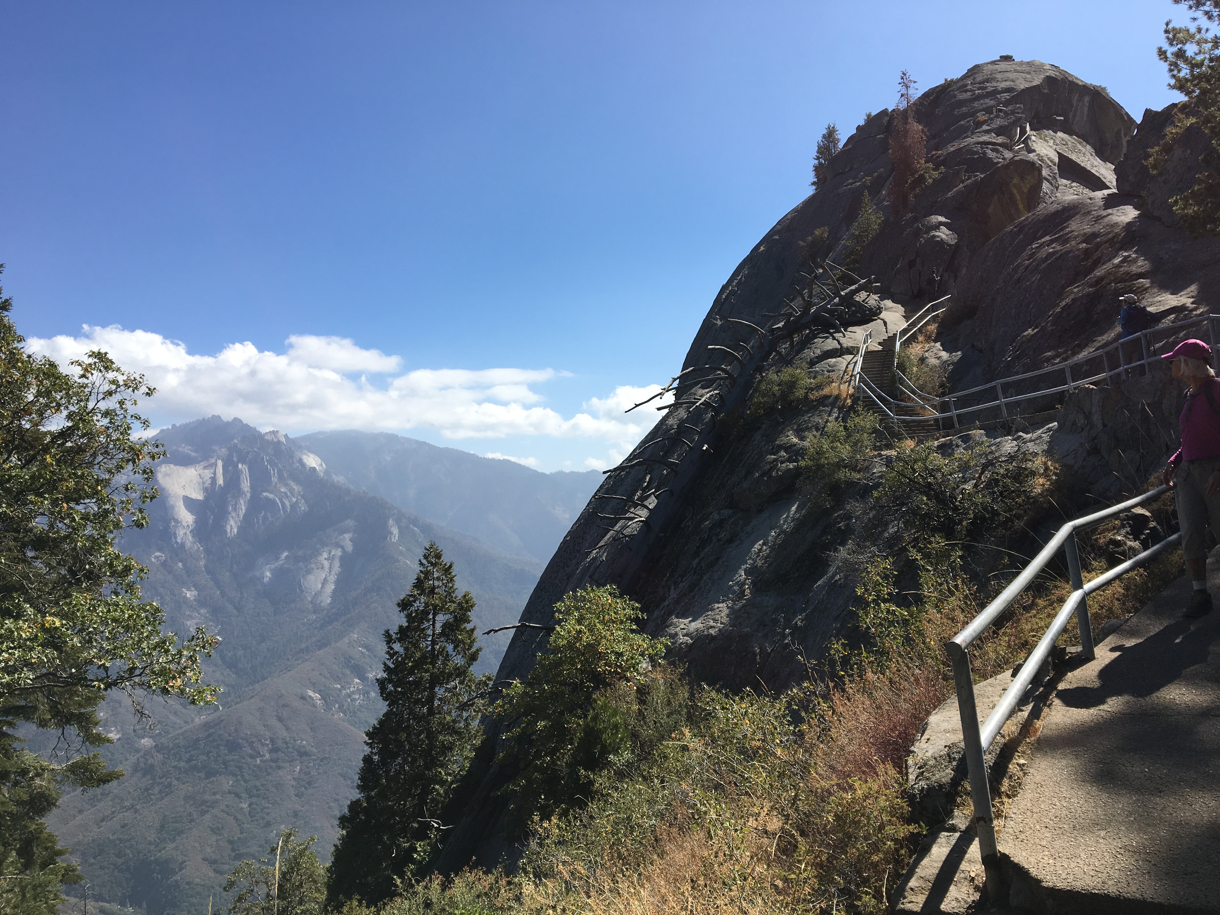 Sequoia (California)