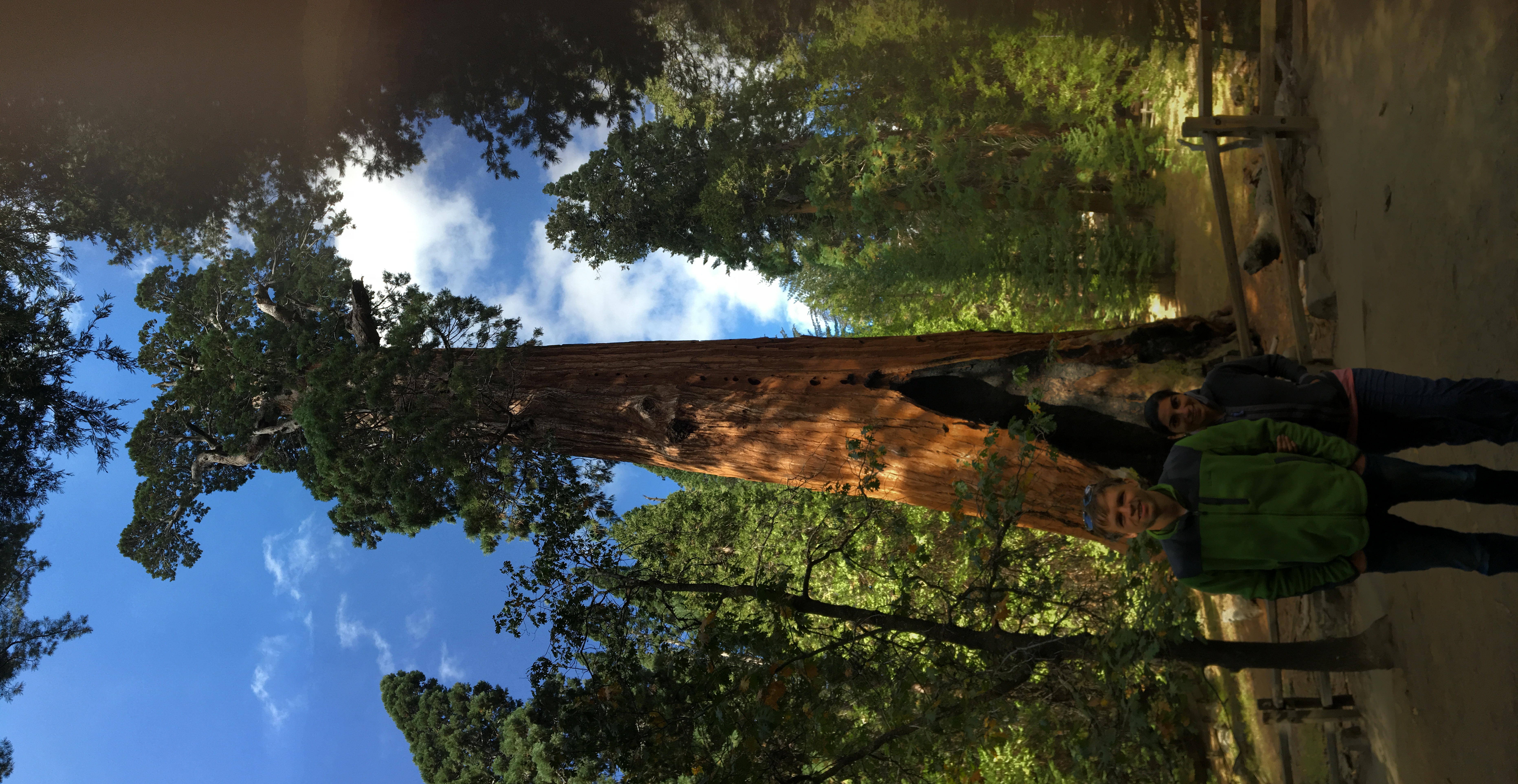 Kings Canyon (California)