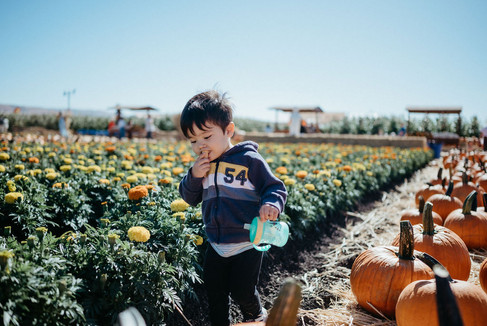 toddler boy holding a sippy cup walking around spina farms
