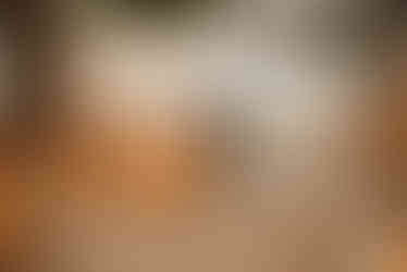 boy wearing skeleton costume at Moreland pumpkin patch