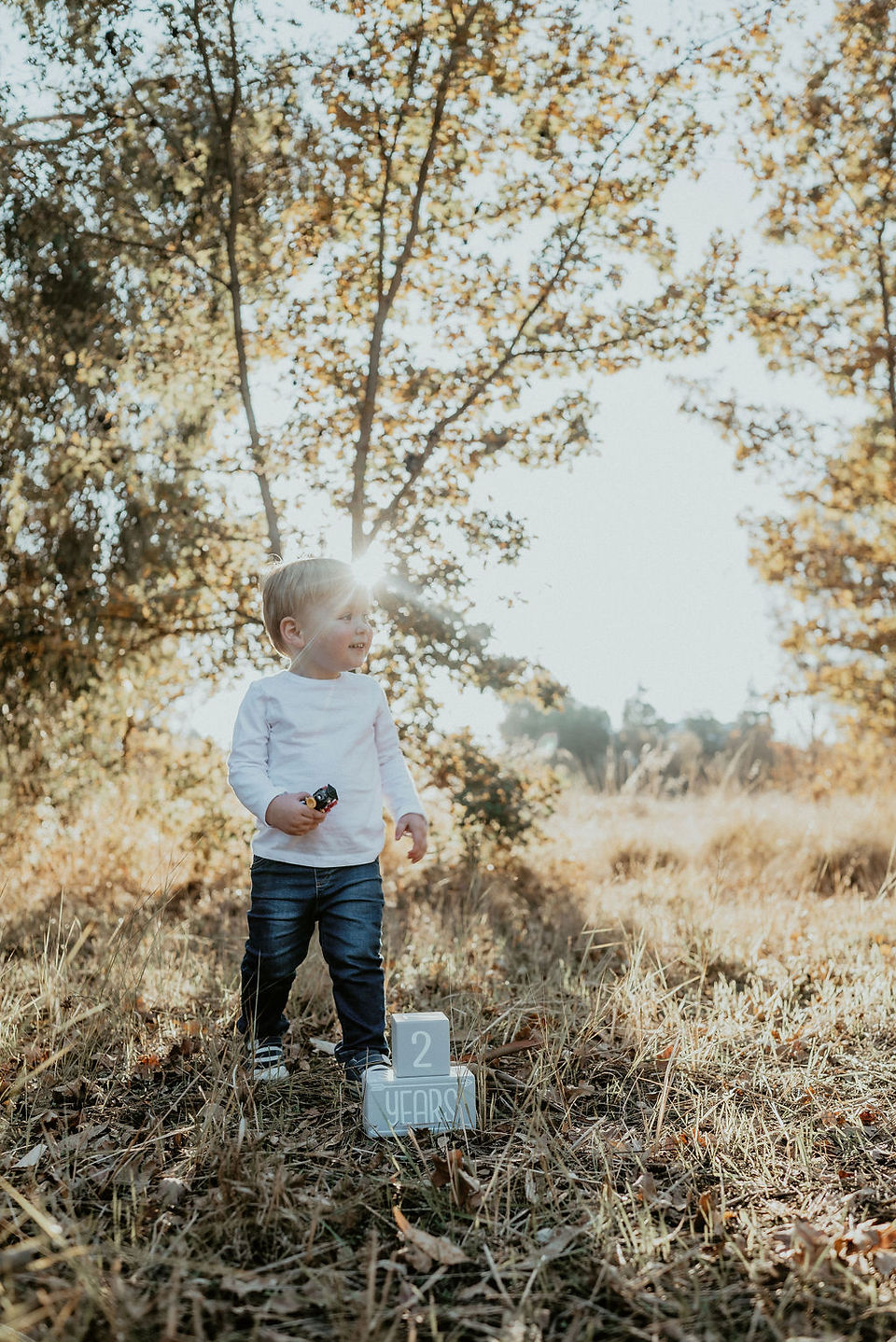 Two year old birthday boy photoshoot