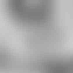 holiday mini session inspiration