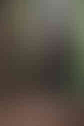 Redwood Engagement Photos in Santa Cruz ; Henry Cowell