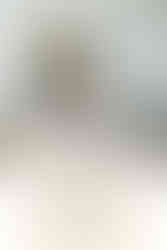 holiday mini session inspiration