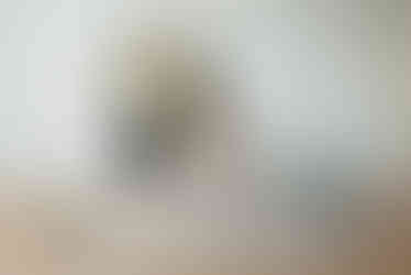 holiday mini session inspiration