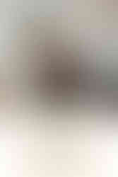 holiday mini session inspiration