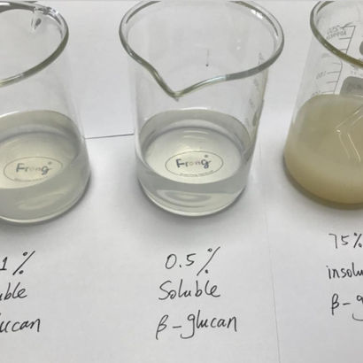 Yeast β-glucan soluble effect really better than insoluble ? not likely!