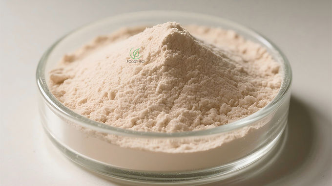 Yeast Beta Glucan 80%