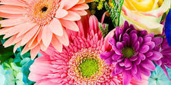download (2)