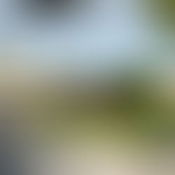 HENDERSON 'CRAKKKSS' N STILL TRYING TO BE THE AUTHORITY OVER (WHAT?) THEY HAVE STOLEN AND MURDERED H