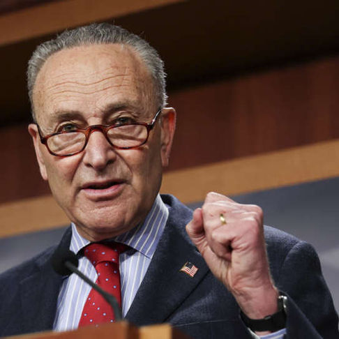 THE GOVENMENT BUDGET
