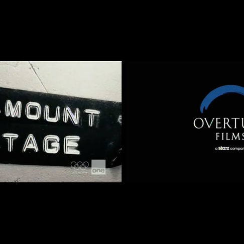 PARAMOUNT VANTAGE INC
