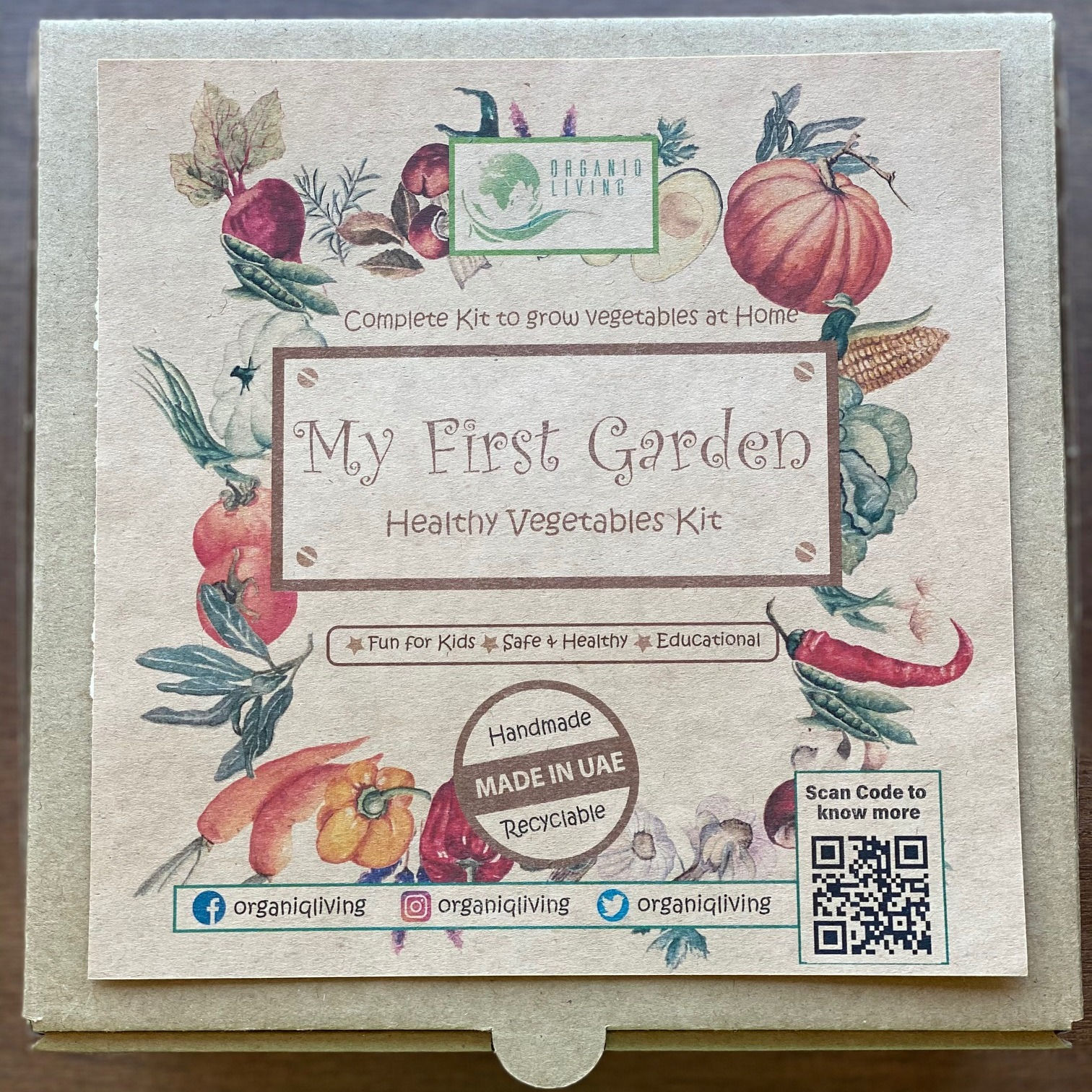 My First Garden - Healthy Vegetables Kit