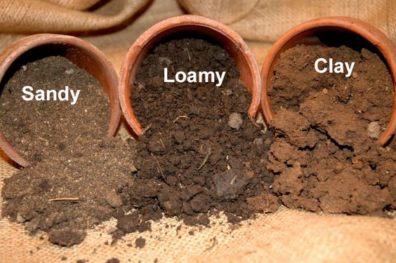 Different types of soil used in gardening