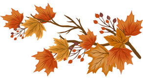 Weekly Village News for Oct. 24, 2025!