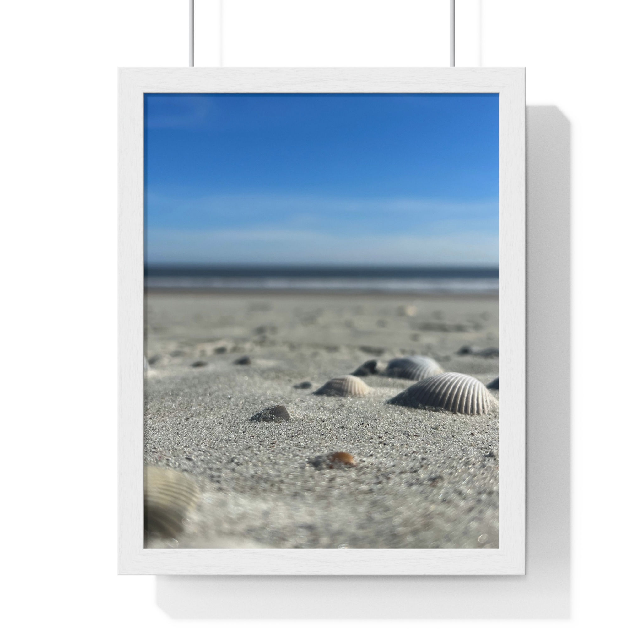 Travel Print | Beach Shells | Coastal Wall Art 