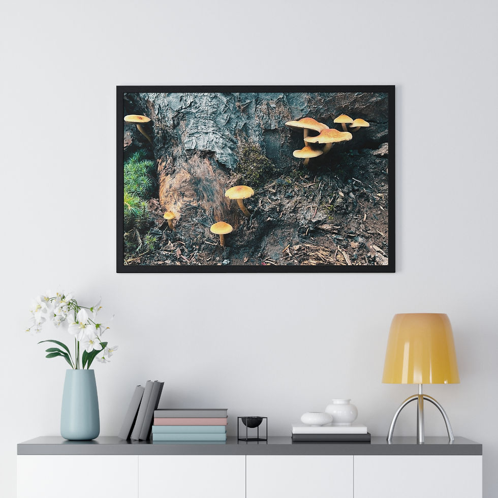 Thumbnail: Travel Prints | Golden Mushrooms | Woodland Wall Art