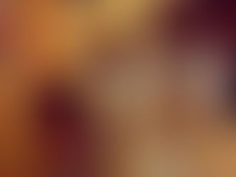 Bas-Armagnac Darroze 40 ans - Cohiba Edition Limitée 2014