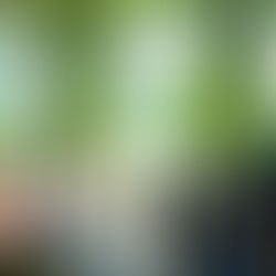 Your NYC Wedding Venue = Your Dream String Quartet Playlist 