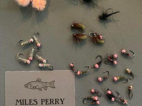 Where do we get our flies?