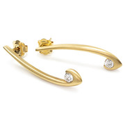 Gold earrings