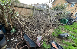 Garden full of waste