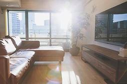 Bright sunlight in living room