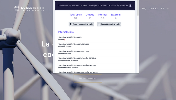 Screenshot showing internal and external links and anchor texts for the Scale in Tech website.