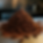 Thumbnail: Primosaurus2096