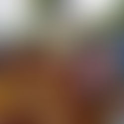 Estudantes Visitam o Catetinho