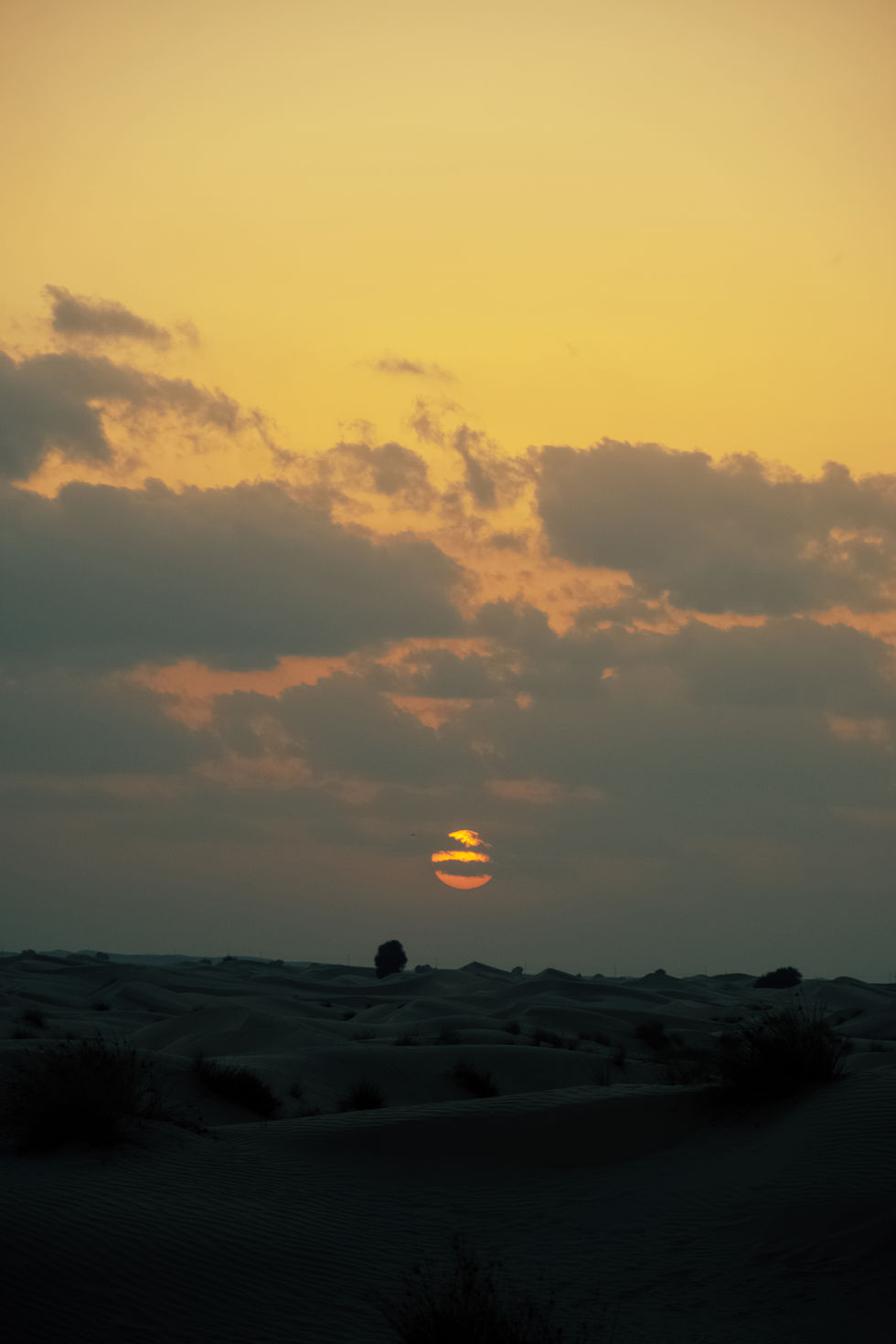 Al Qudra Lake _ 01.11.20243.jpg